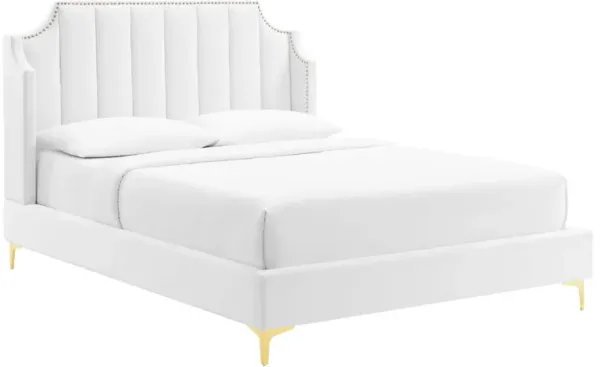 Modway - Daniella Performance Velvet Queen Platform Bed