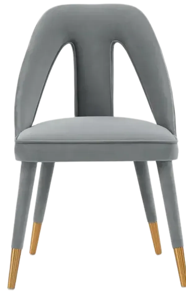 Neda Gray Dining Chair (Set of 2)