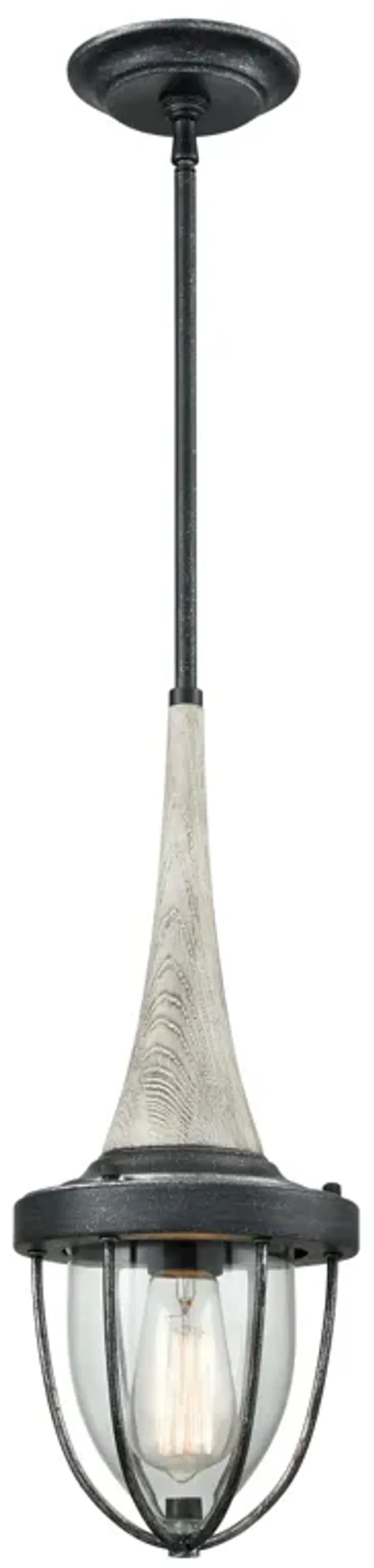 Sturgis 1-Light Mini Pendant