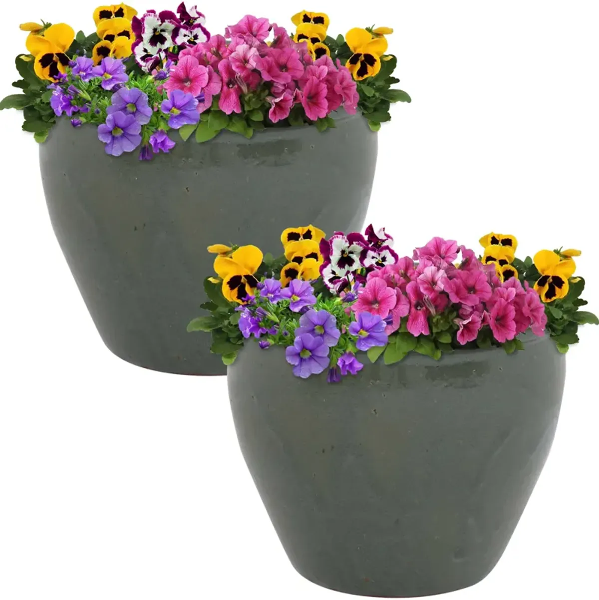 Sunnydaze Chalet Glazed Ceramic Planter - Set of 2