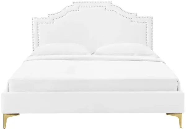 Modway - Adelaide Performance Velvet Queen Platform Bed