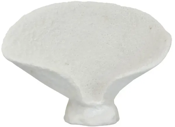 Coral Tabletop Decor, Cone Shape, 15 Inch White Textured Resin Finish - Benzara