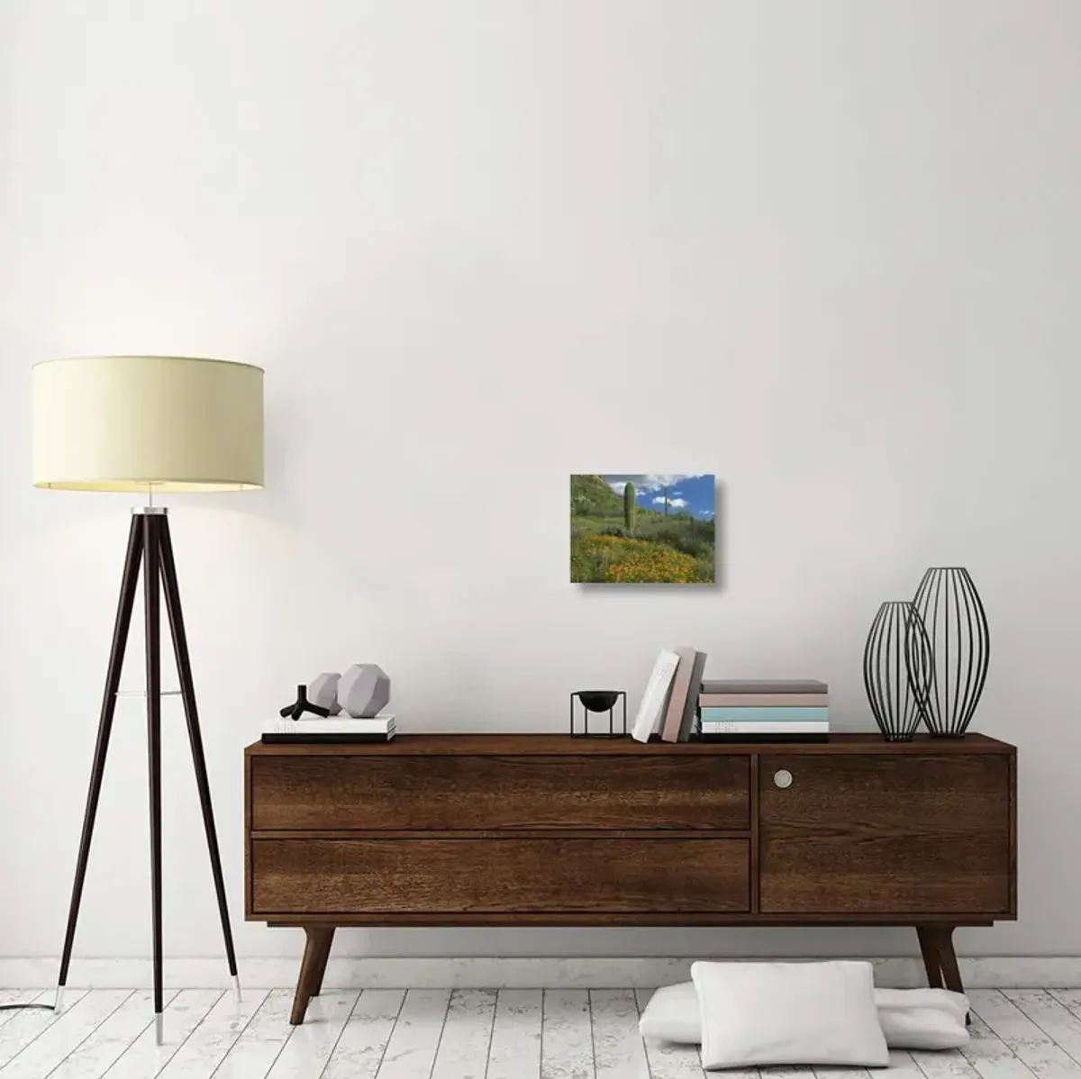 California Poppy and Saguaro cacti, Organ Pipe Cactus National Monument, Arizona-Canvas Art-16x12