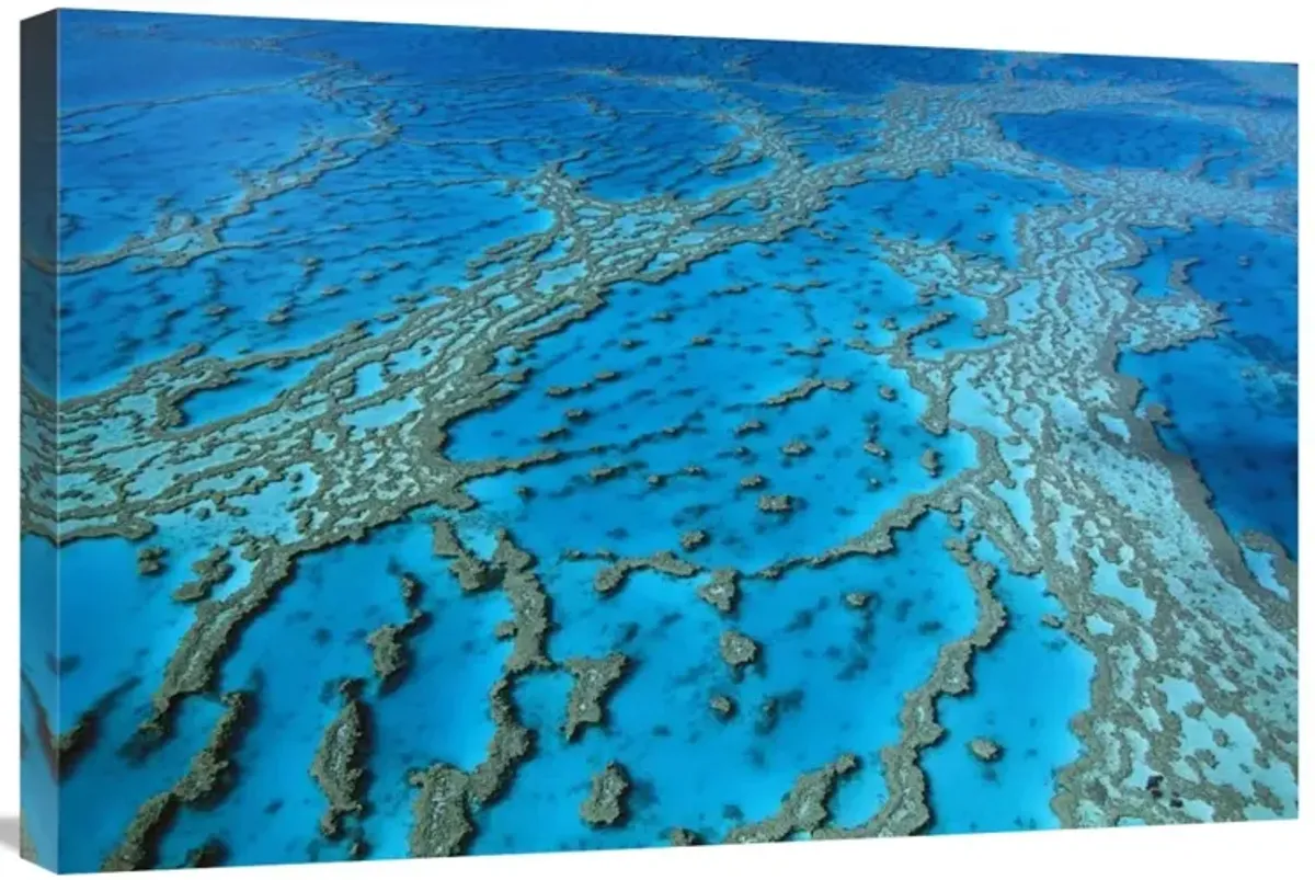Aerial view of coral formations in Hardy Reef, Great Barrier Reef, Queensland, Australia-Canvas Art-30x20