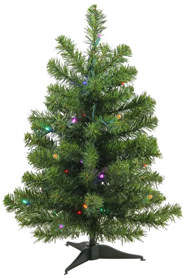 2' Pre-Lit Medium Canadian Pine Artificial Christmas Tree  Multicolor Lights