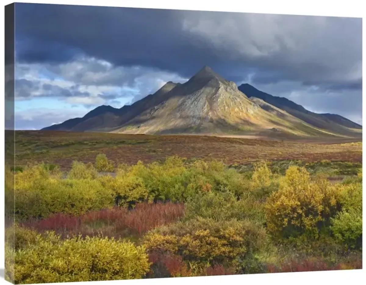 Ogilvie Mountains, Tombstone Territorial Park, Yukon, Canada-Canvas Art-32x24