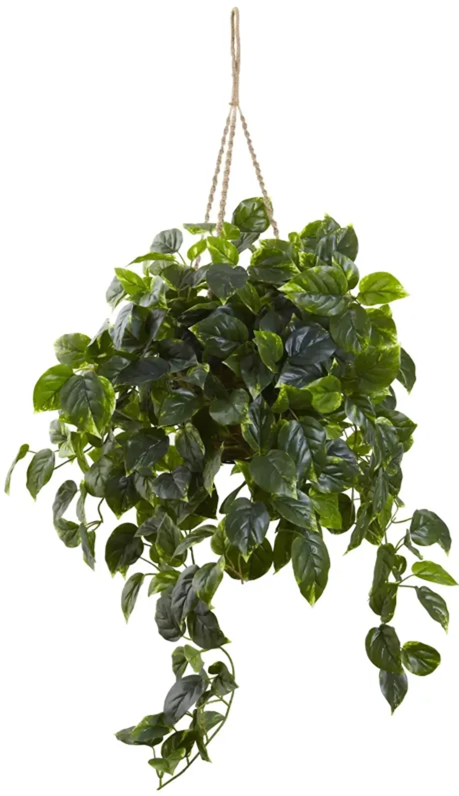 Hivvago Pothos Hanging Basket UV Resistant (Indoor/Outdoor)