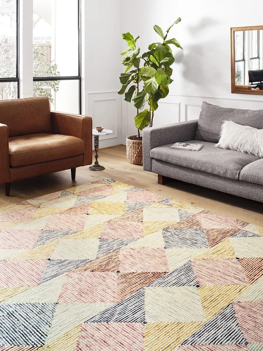 Spectrum SPE01 2'3" x 3'9" Rug