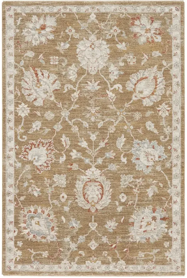 Infinite IFT04 Mocha 3'11" x 5'11" Rug