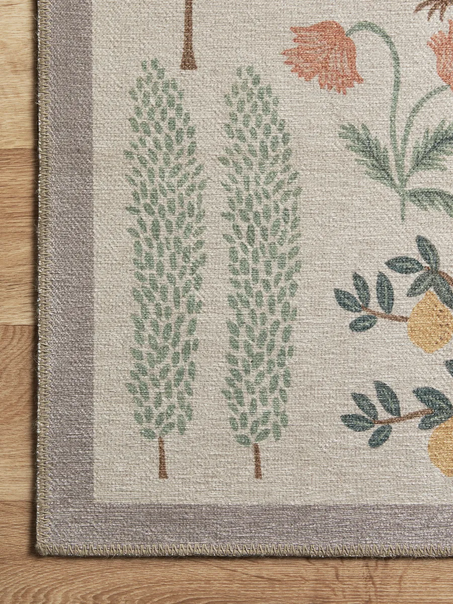 Menagerie MEN01 5'" x 5'" Rug