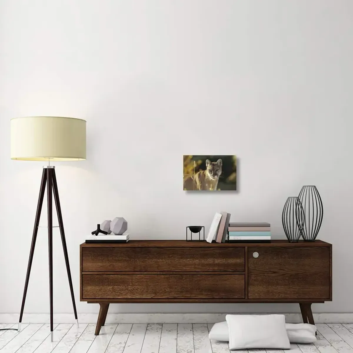 Mountain Lion or Cougar adult portrait, North America-Canvas Art-18x12