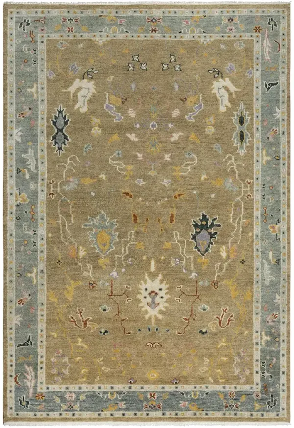 Envision ENV965 8' x 10' Rug