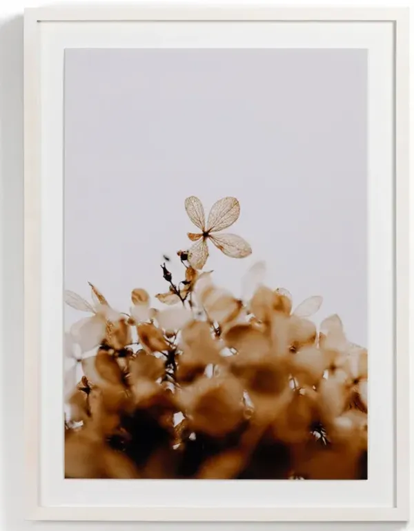 Greetings by Annie Spratt