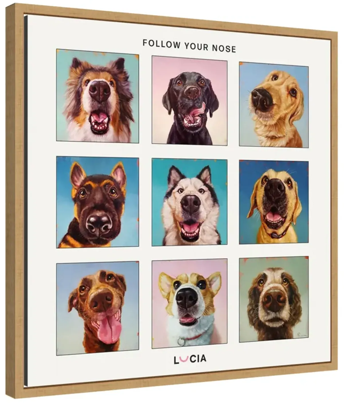 Follow Your Nose Collage by Lucia Heffernan Framed Canvas Wall Art