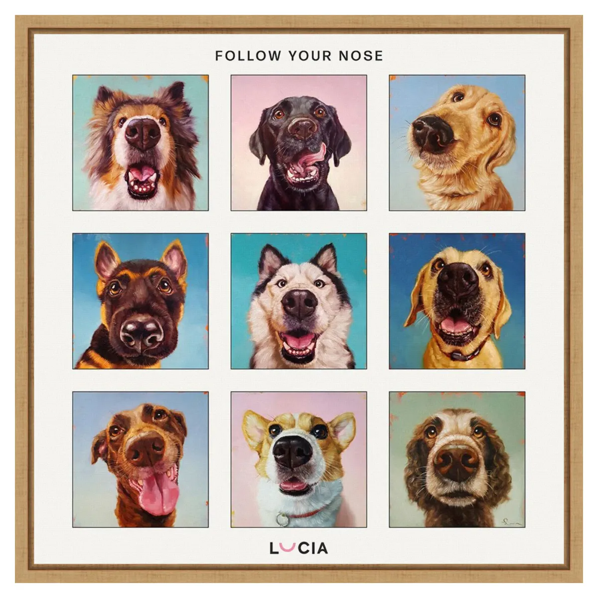Follow Your Nose Collage by Lucia Heffernan Framed Canvas Wall Art