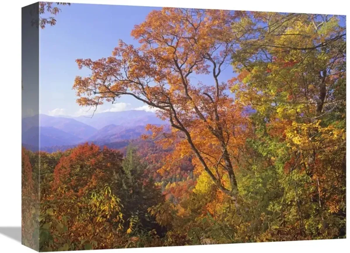 Great Smoky Mountains from, Blue Ridge Parkway, North Carolina-Canvas Art-16x12