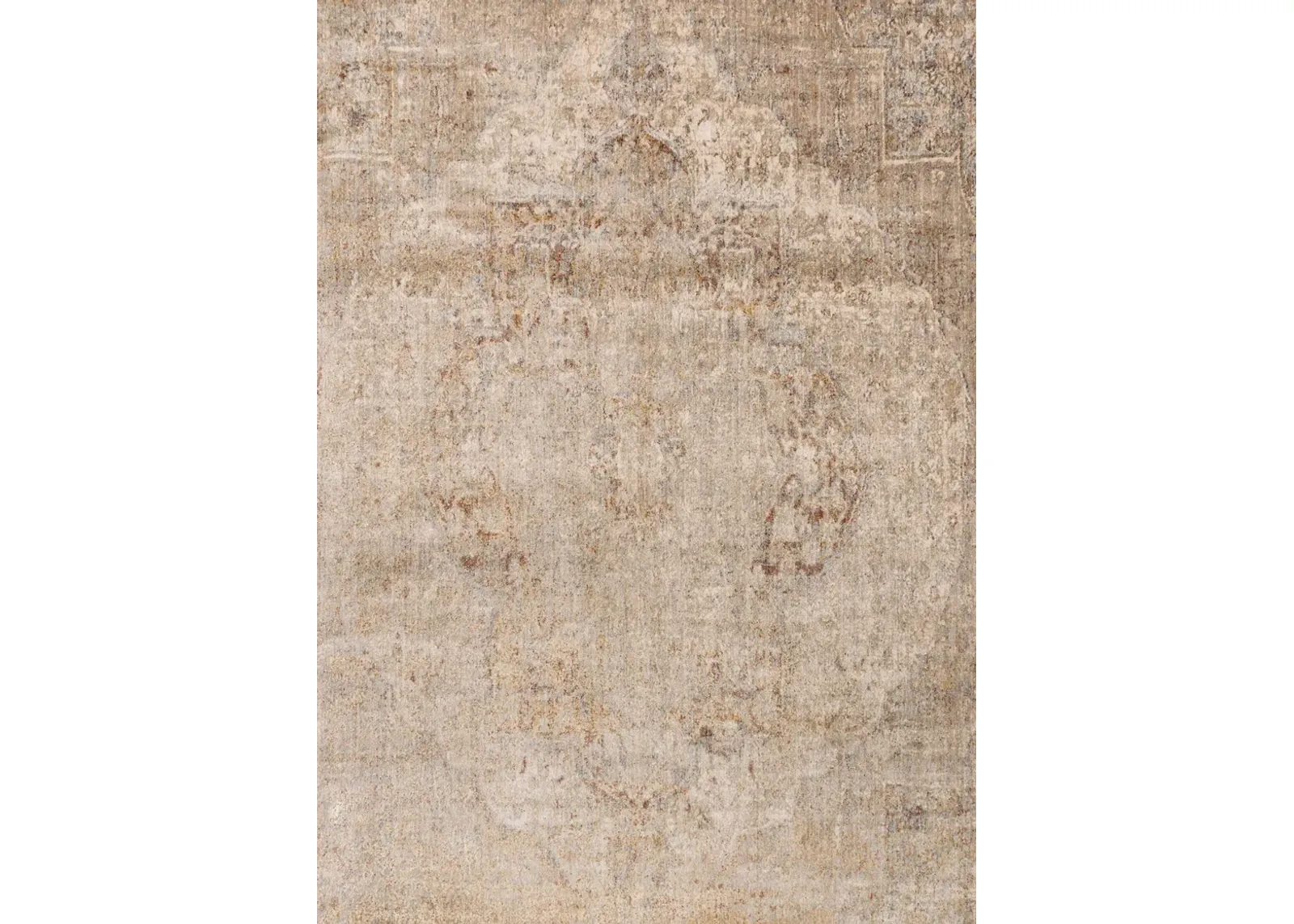 Anastasia AF17 Desert 2'7" x 10" Runner Rug