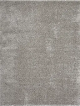 Silver color