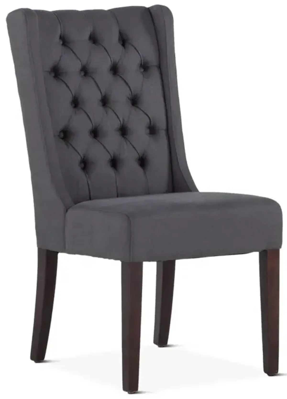 Belen Kox Modern Contemporary Accent Chairs - Set of 2, Belen Kox