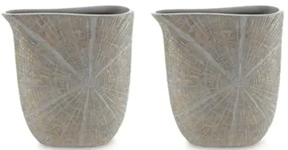 Ardenley Vase (Set of 2)