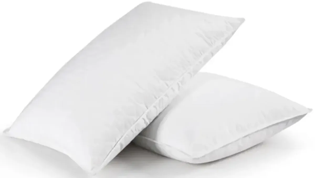 Hivvago Set of 2 Machine Washable Down Feather Blend Pillow in Standard/Queen size