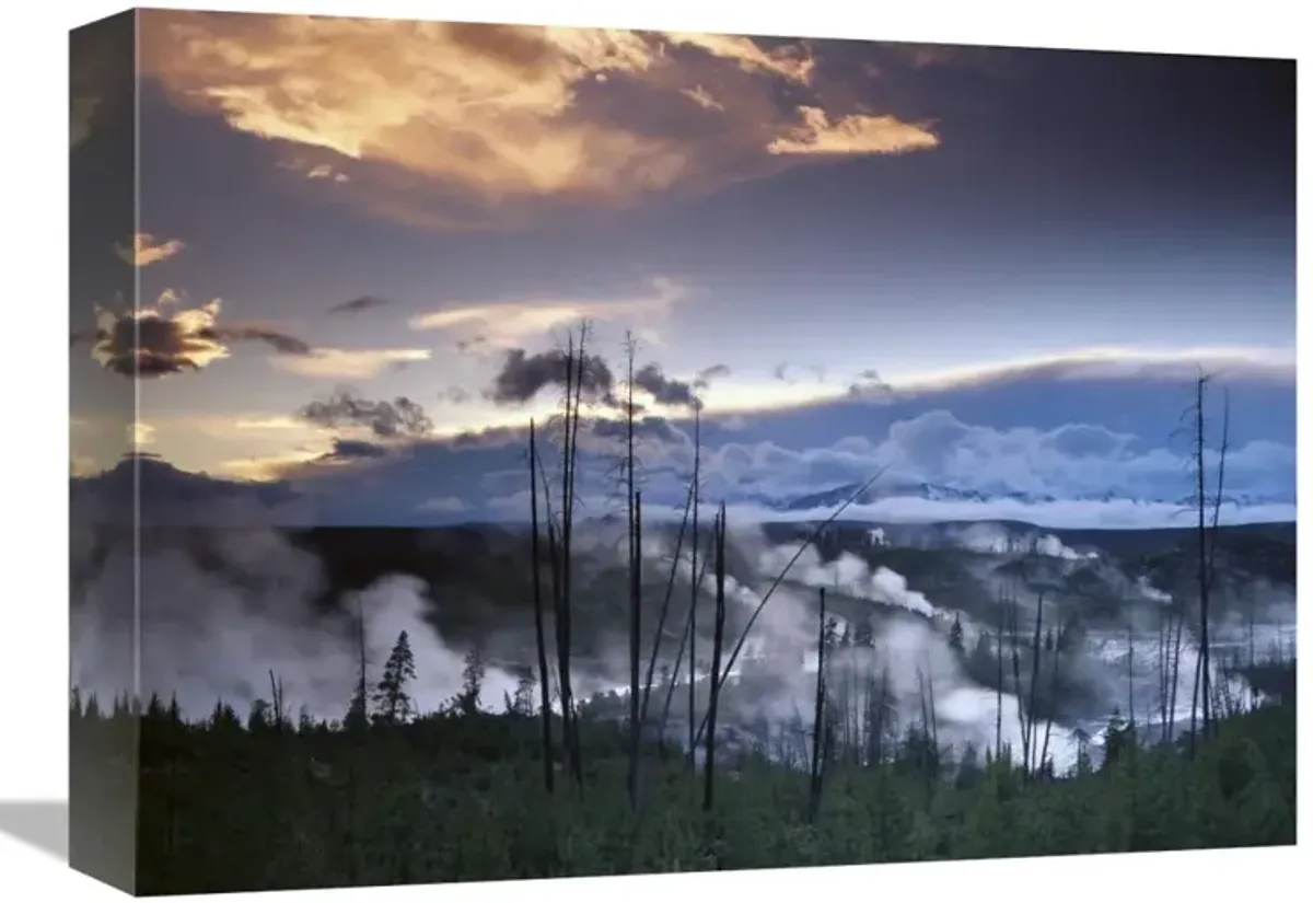 Norris Geyser basin with steam plumes from geysers, Yellowstone National Park, Wyoming-Canvas Art-16x12