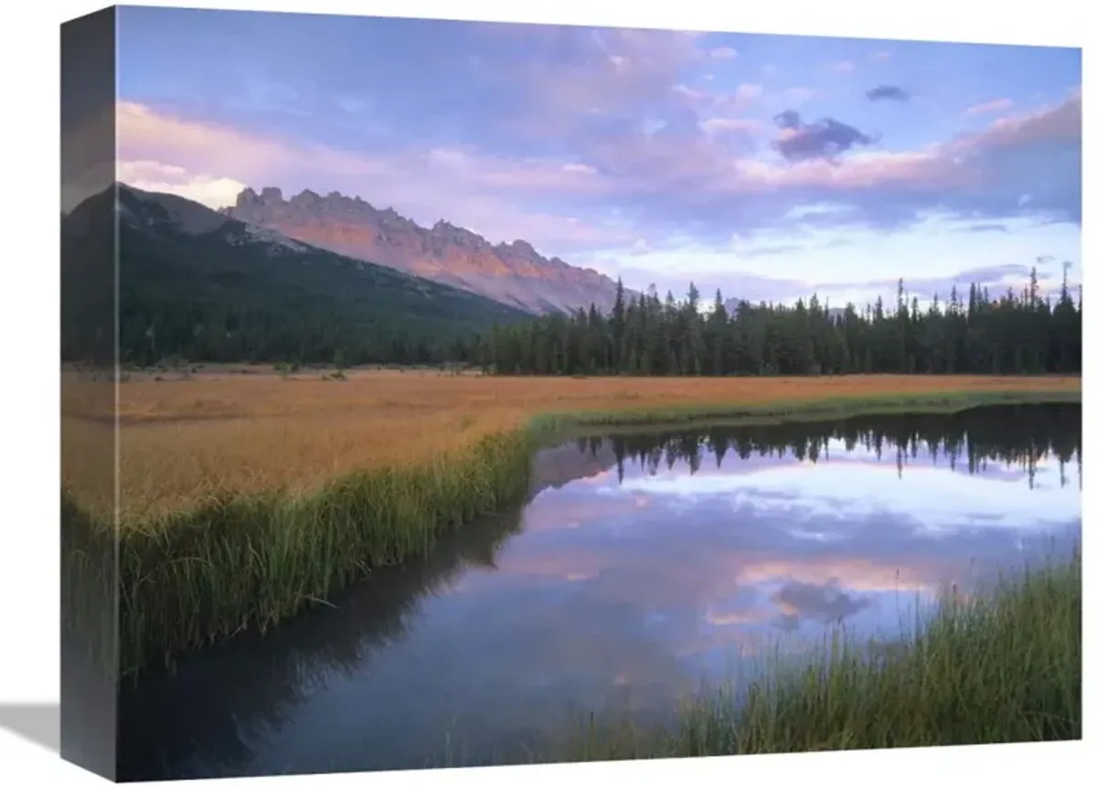 Dolomite Peak and Bow River backwaters, Banff National Park, Alberta-Canvas Art-16x12