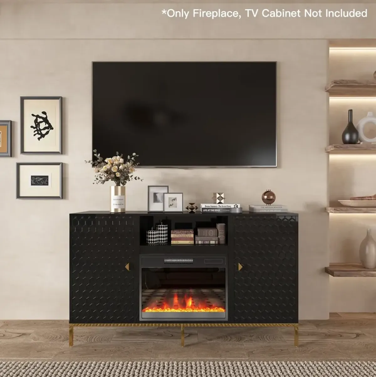 23 in. Direct Vent Electric Fireplace Insert with Remote Control