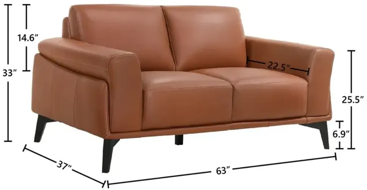 New Classic Furniture Furniture Como Leather Upholstered Loveseat in Terracotta