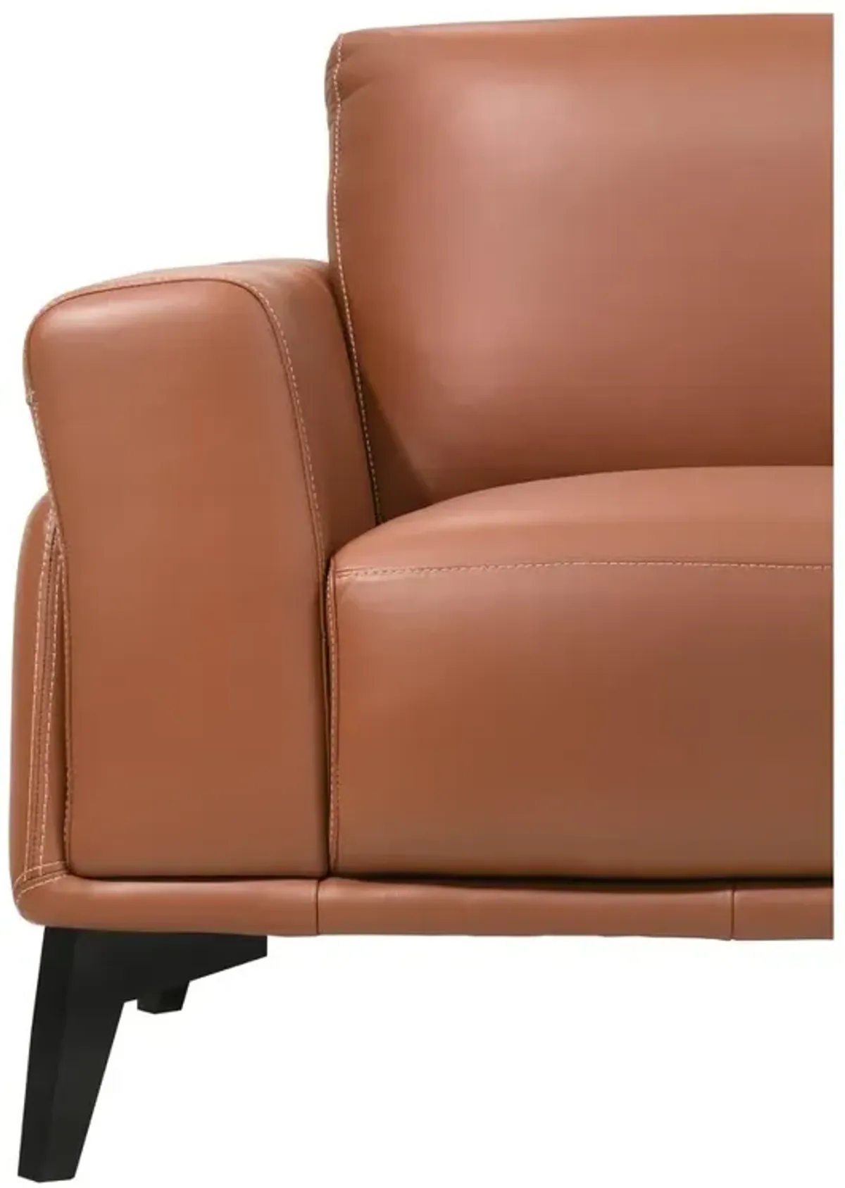 New Classic Furniture Furniture Como Leather Upholstered Loveseat in Terracotta