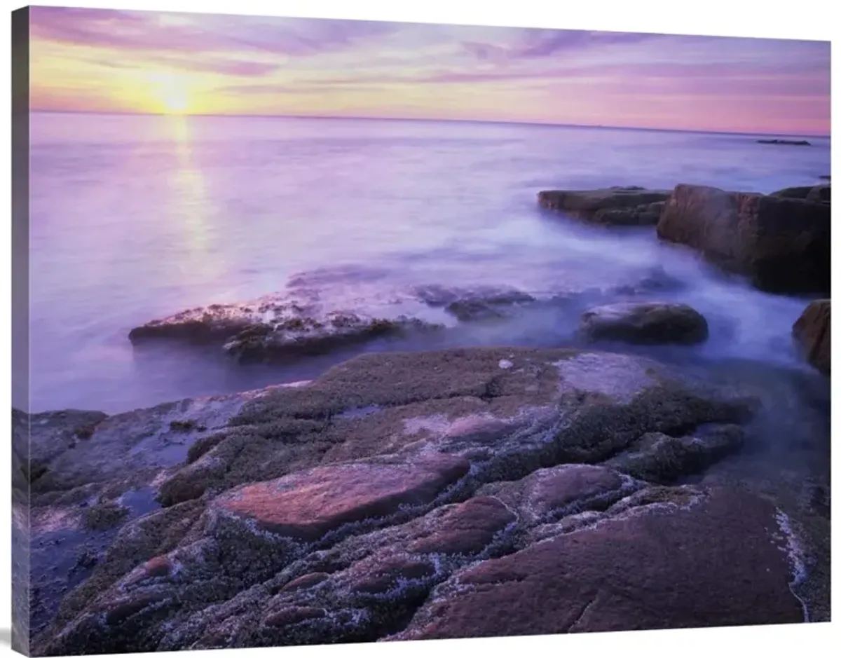Atlantic coast near Thunder Hole, Acadia National Park, Maine-Canvas Art-40x30