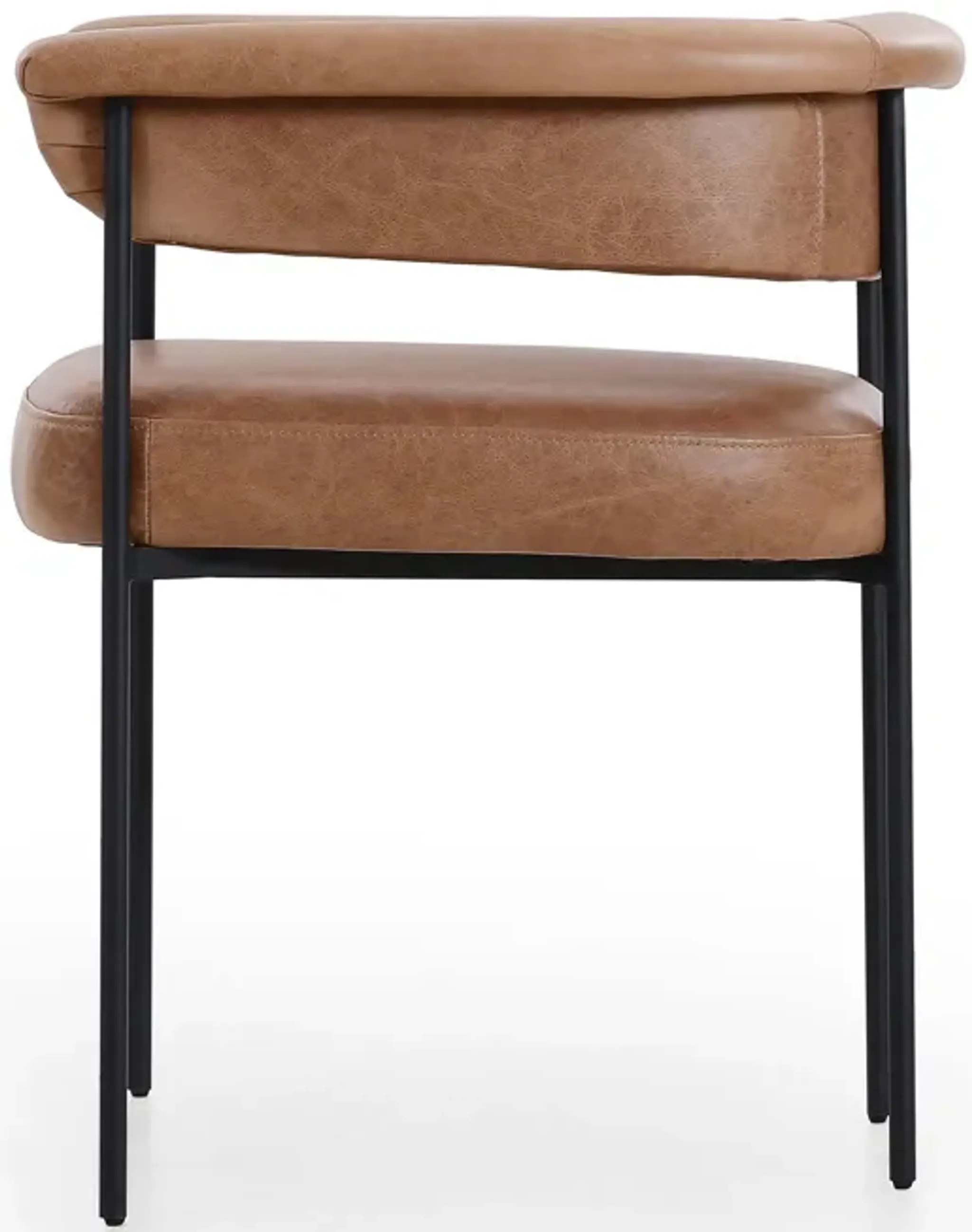 Carrie Dining Chair Mathis Home | Furniture.com