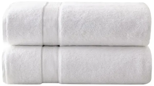 Gracie Mills Eulalia 2 Piece 800 GSM Antimicrobial Cotton Bath Sheet Set