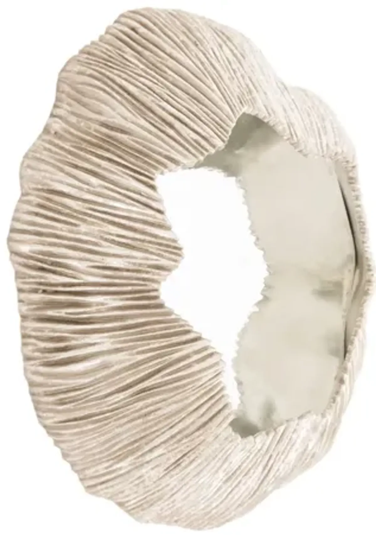 Fungia Mirror