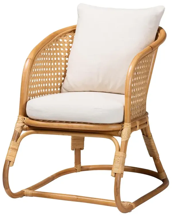 bali & pari Niko Bohemian Light Honey Rattan Arm Chair