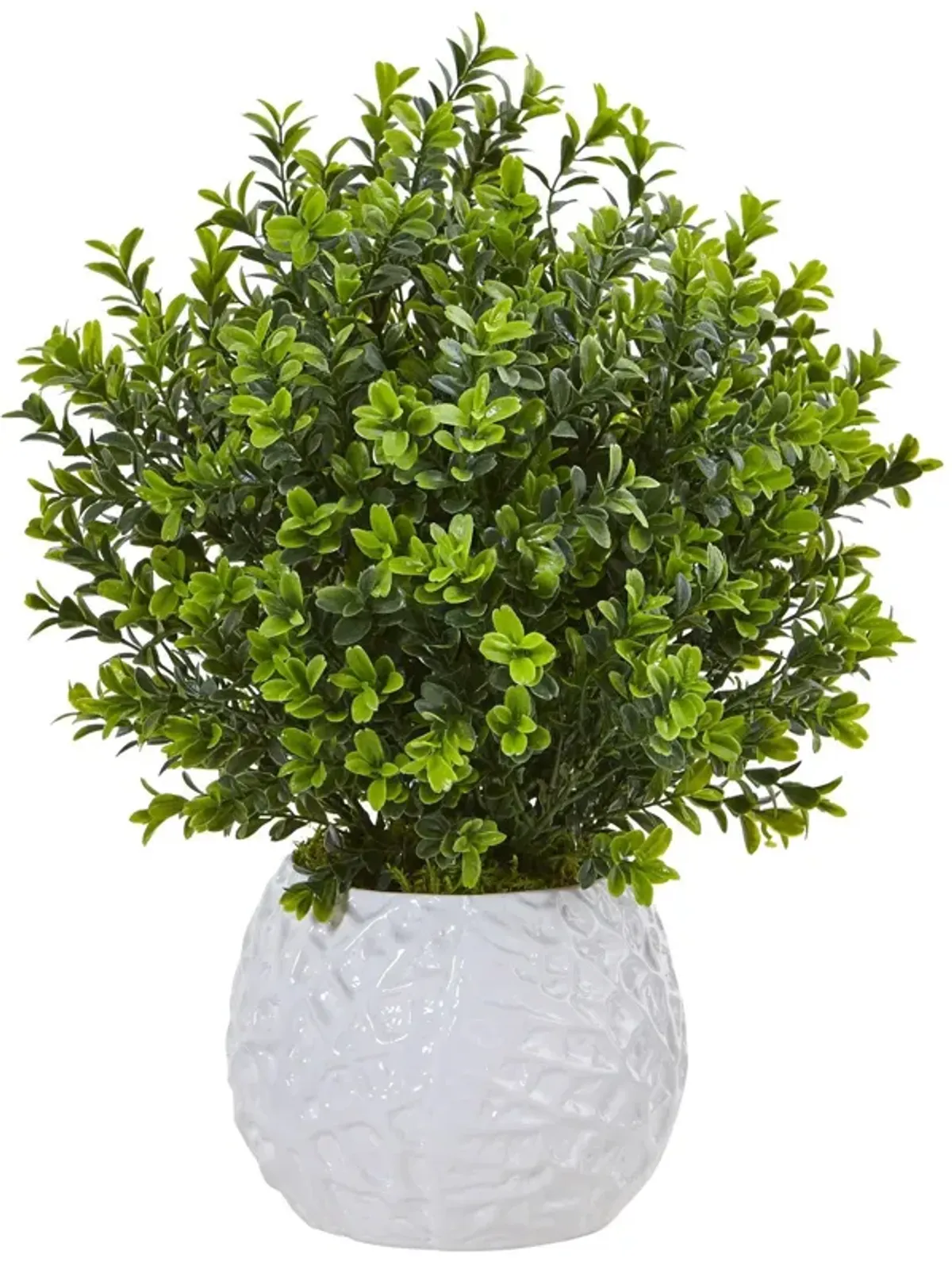 Nearly Natural 17-in Boxwood in White Vase (Indoor/Outdoor)