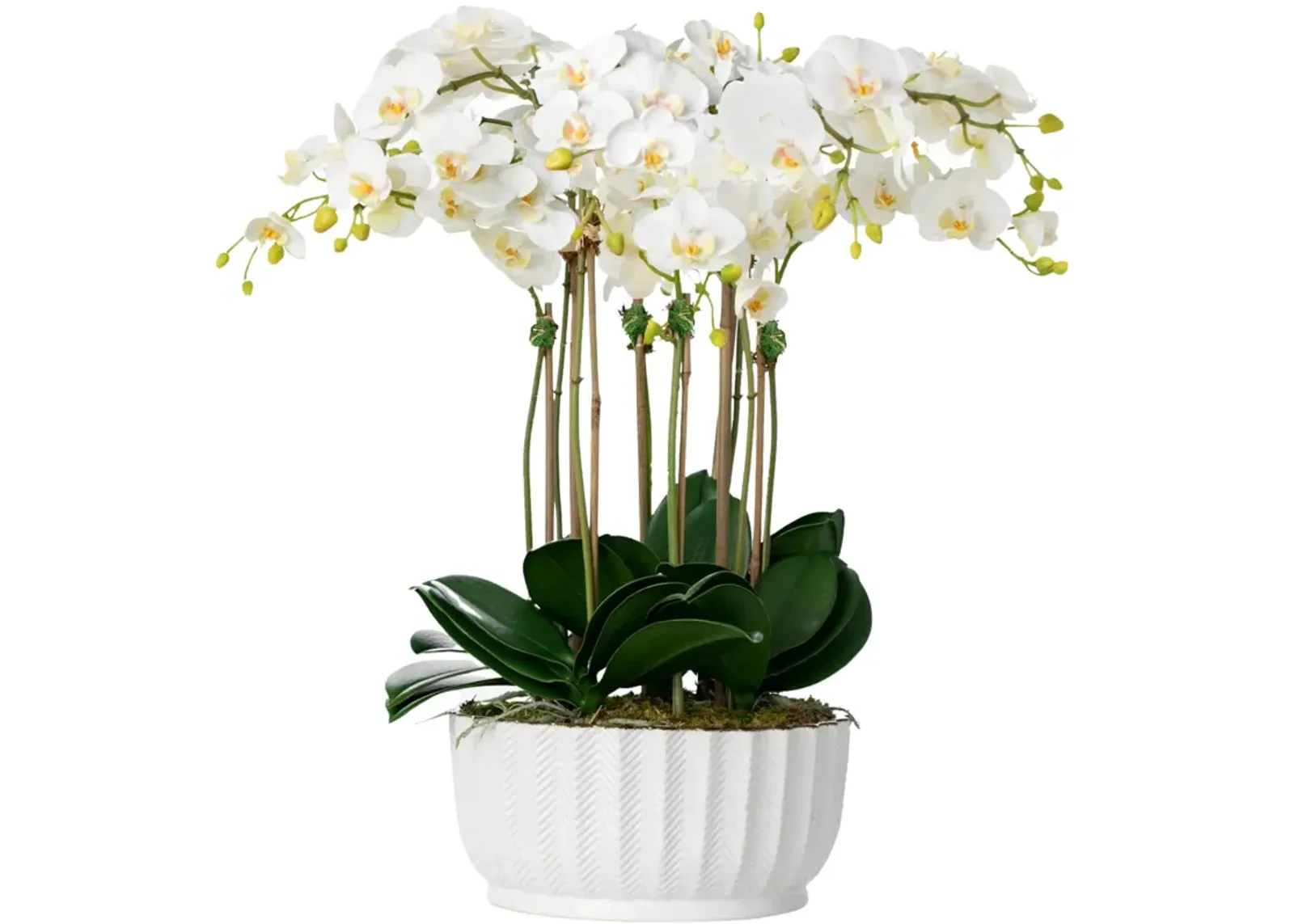 Faux Orchid Centerpiece - Silk Orchid Arrangement - 26”