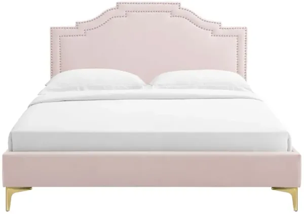 Modway - Adelaide Performance Velvet Queen Platform Bed