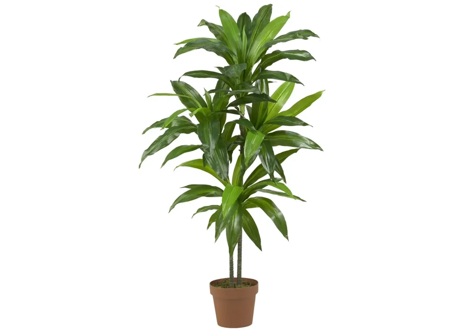 HomPlanti 48 Inches Dracaena Silk Plant (Real Touch)