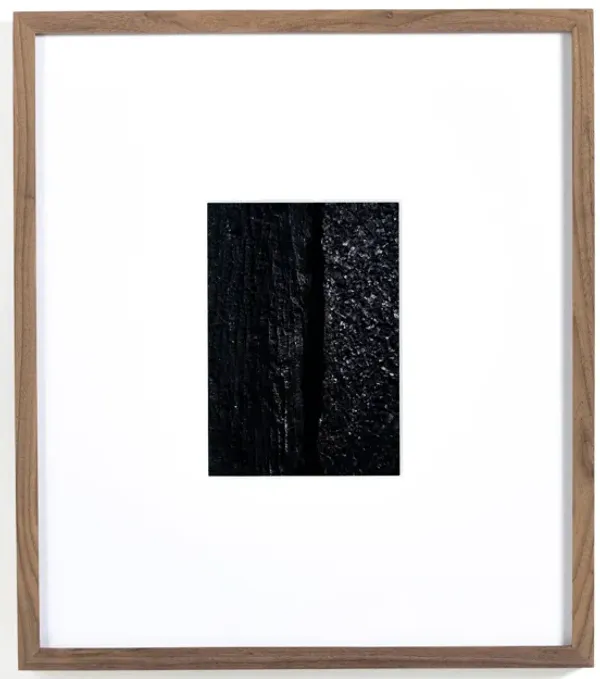 Char VII by FH Art Studio