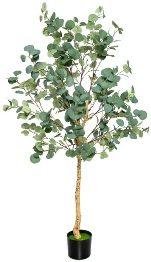 Hivvago 5.5 Feet Artificial Eucalyptus Tree with 517 Silver Dollar Leaves