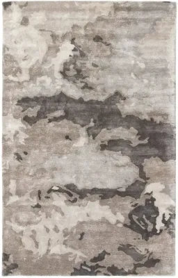 Pussywillow Gray color