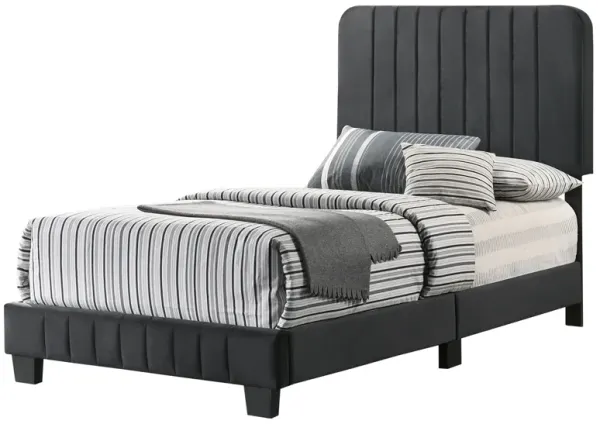 Lodi Velvet Upholstered Channel Tufted Twin Panel Bed