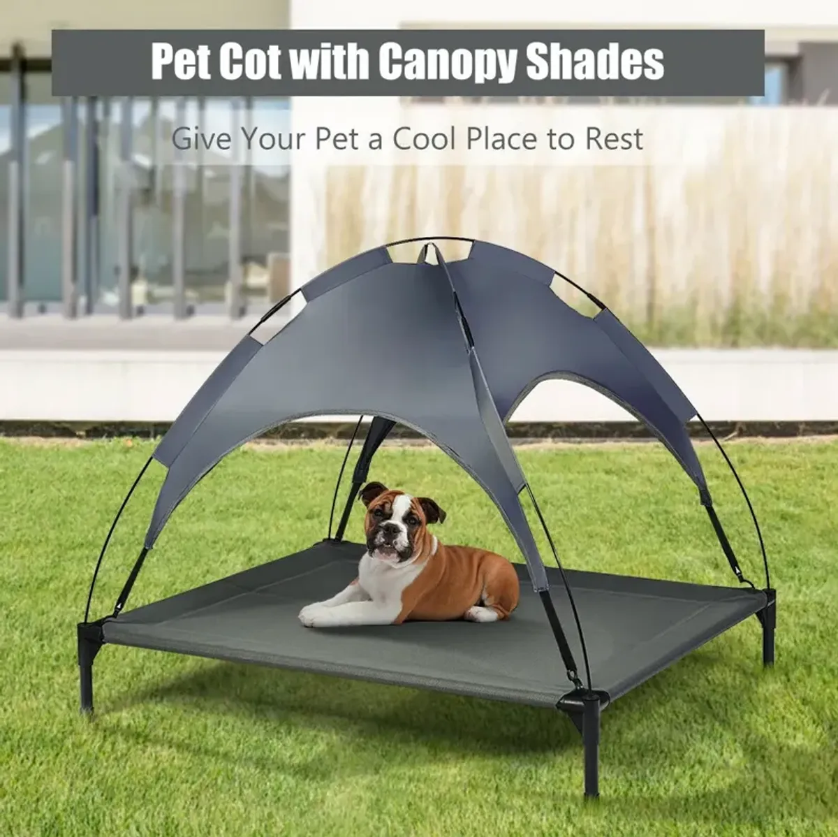 Portable Elevated Outdoor Pet Bed with Removable Canopy Shade