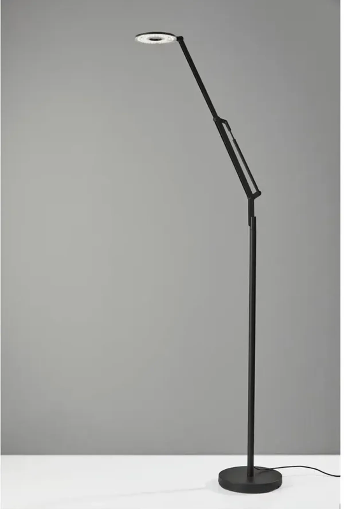 Adesso Gordon LED Floor Lamp