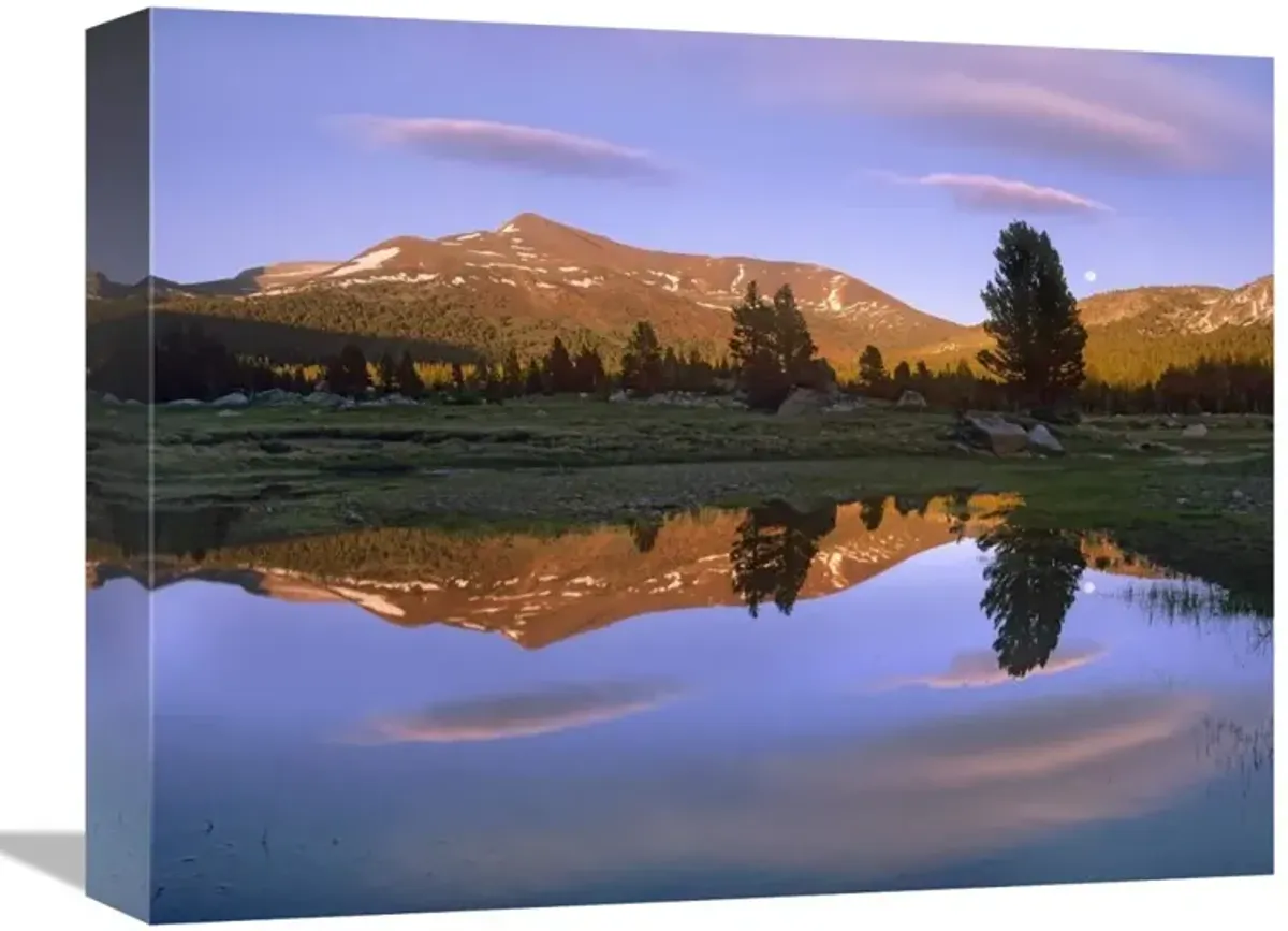 Mount Dana reflected in pond, Yosemite National Park, California-Canvas Art-16x12