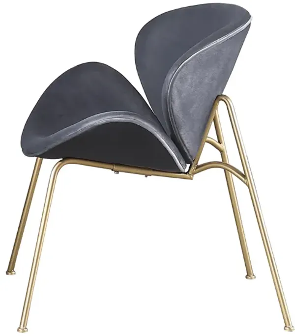 Velvet Dining Chairs, Upholstered Living Room Chairs with Gold Metal Legs