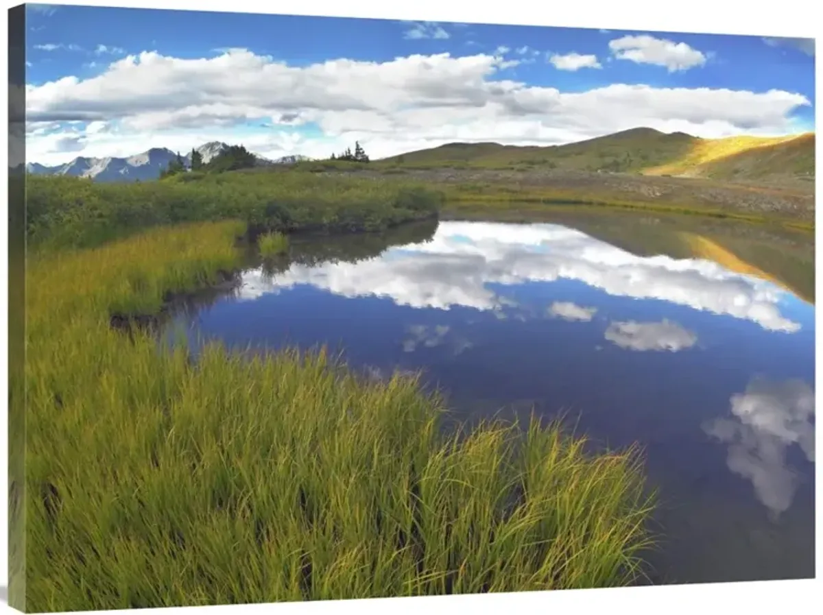 Sky reflected in water Cottonwood Pass, Colorado-Canvas Art-40x30