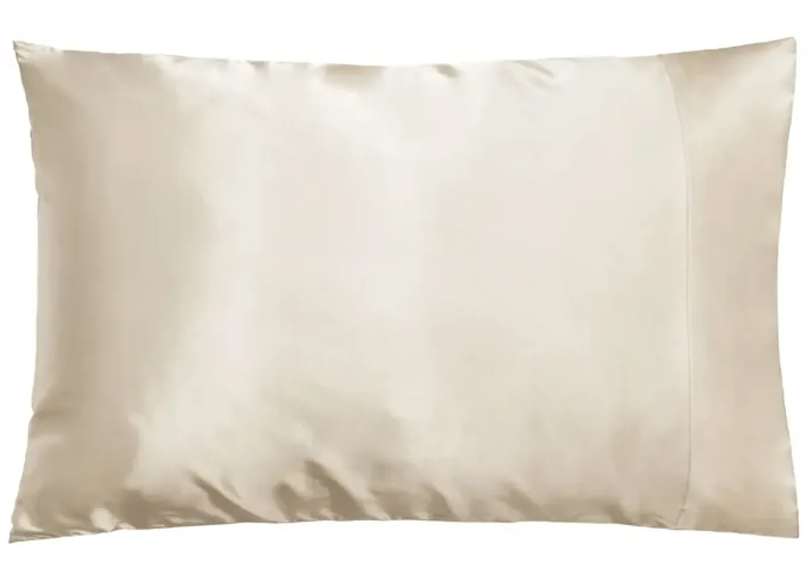 Dual-Sided Silk Pillowcase: Reversible 100% Mulberry Silk 19 Momme 6A one Side, 100% Eucalyptus Other Side