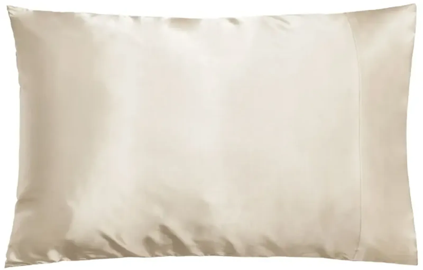 Dual-Sided Silk Pillowcase: Reversible 100% Mulberry Silk 19 Momme 6A one Side, 100% Eucalyptus Other Side